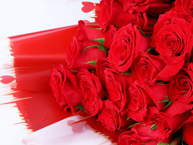 Fresh Kenyan roses